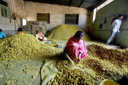 Téléchargez les photos : Des femmes travaillent dans une usine de curcuma (Haldi) à Sangli Market, Maharashtra, Inde - en image libre de droit