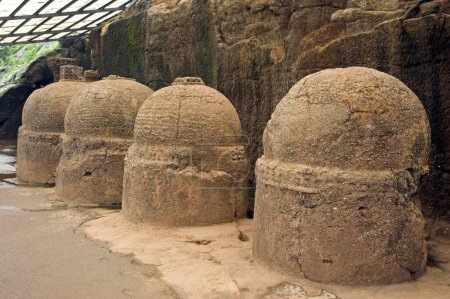 Stupas Bhaja Cuevas, Malavali, Lonavala pune, Maharashtra, India, Asia