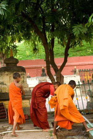 Téléchargez les photos : Moine de Bouddha au temple Mahabodhi ; Bodhgaya ; Bihar ; Inde - en image libre de droit