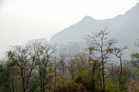 Téléchargez les photos : Montagnes dans le ghat de Malshej au Maharashtra Inde Asie - en image libre de droit