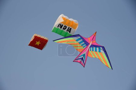 Téléchargez les photos : Kite like bird, Festival International du Cerf-volant, Tithal, Valsad, Gujarat, Inde, Asie - en image libre de droit