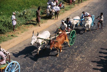 Foto de Bullock Cart Race , Tamil Nadu , India - Imagen libre de derechos