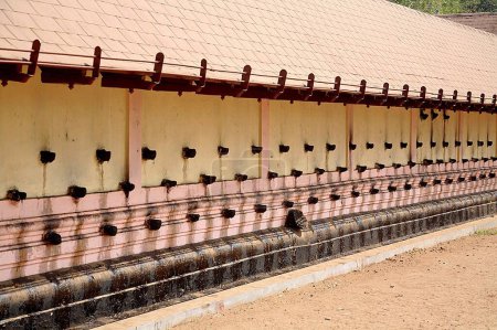 Small oil lamps lining on outer wall of  temple of Bhagawati temple at Kodulgalloor ; Kerala ; India