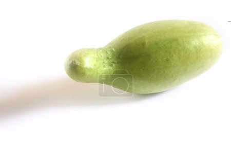 Grünes Gemüse, Kakri-Gurke cucumis utilissimus auf weißem Hintergrund