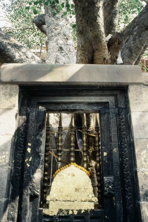Téléchargez les photos : Pierre sainte avec plaque d'or mince, Bodh Gaya, Bihar, Inde, Asie - en image libre de droit