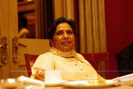 Téléchargez les photos : Président mayawati du parti Bahujan Samaj BSP et ministre en chef de l'Uttar Pradesh, Inde - en image libre de droit