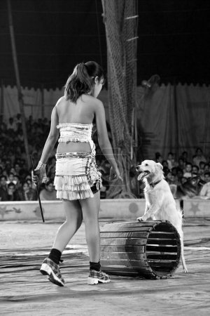 Foto de Mujer con perro en circo, india, asia - Imagen libre de derechos