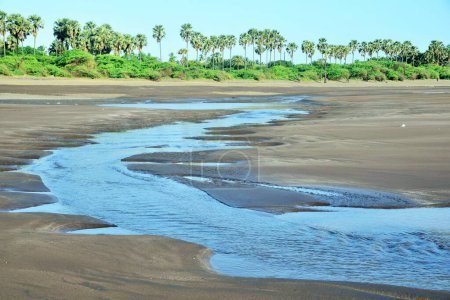 Foto de Reunión fluvial mar, Playa del Bhagal, Valsad, Gujarat, India, Asia - Imagen libre de derechos