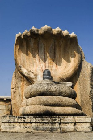 Monolithischer Nagalinga 18 Fuß hoch im Hof des Virabhadra-Tempels in Lepakshi, Andhra Pradesh, Indien 