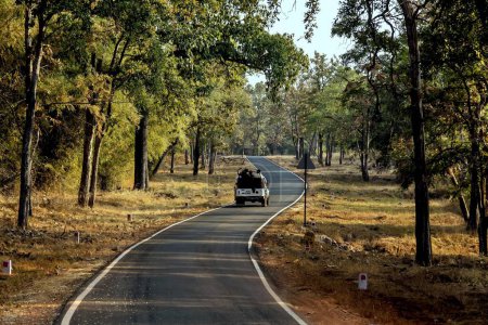 Téléchargez les photos : Jeep on forest road, Tadoba Wildlife Sanctuary, Chandrapur, Maharashtra, Inde, Asie - en image libre de droit