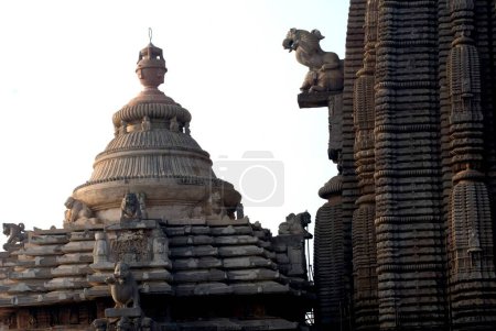 Téléchargez les photos : Temple de pierre dans le complexe de temple de soleil à Konarak ; Orissa ; Inde Site du patrimoine mondial - en image libre de droit