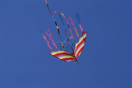 Drachenfliegen auf dem Drachenfest, Shivaji Park, Mumbai, Maharashtra, Indien