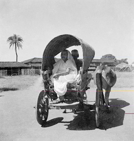 Téléchargez les photos : Kasturba Gandhi allant dans un chariot à boeufs à la rencontre de son fils Harilals gendre Kuvarji Parekh à l'ashram de Sevagram, 1938 - en image libre de droit