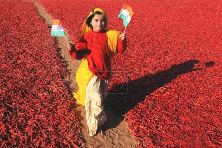 Photo for Girl holding national flag walking besides red chillies, Mathania, Jodhpur, Rajasthan, India - Royalty Free Image
