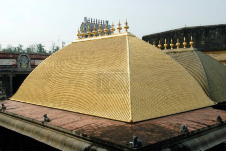 Téléchargez les photos : Toit en or du temple Chidambaram Nataraja ; Chidambaram ; Tamil Nadu ; Inde - en image libre de droit