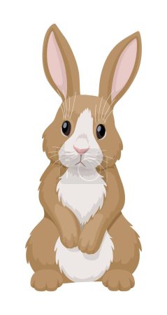 Conejo rojo-blanco con vista frontal. Ilustración vectorial aislada sobre fondo blanco. Lindo conejito.