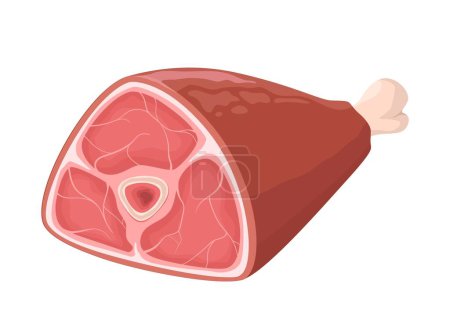 Ham leg vector illustration on white background. Appetizing meat product.