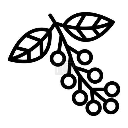 Hackberry Vector Line Icon Design