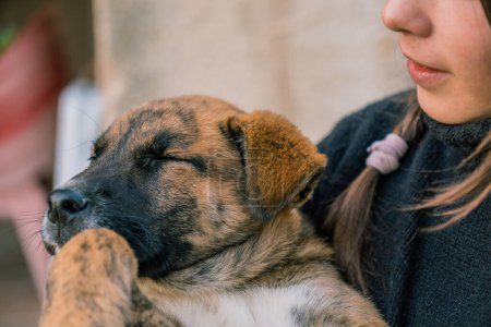 Primer plano de una joven veterinaria irreconocible que toma un cachorro de perro en sus brazos para cuidarlo.