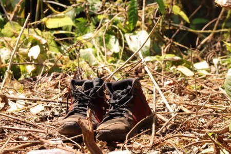 Téléchargez les photos : Bottes de jungle humides séchées au soleil - en image libre de droit