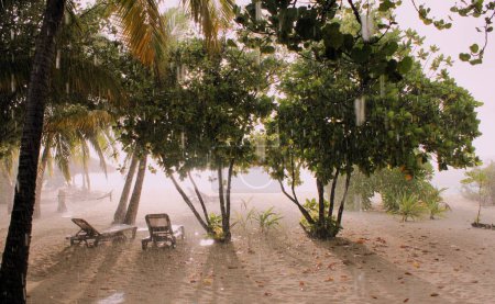 Téléchargez les photos : Pluie tropicale aux Maldives - en image libre de droit