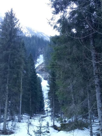 Téléchargez les photos : Cascades de Krimml, Salzbourg, Autriche (28 / 03 / 2022) au début du printemps entouré d'arbres et de neige sur le sol. Les cascades de Krimml (avec une hauteur de 380 mètres) sont les plus hautes cascades d'Autriche. Les chutes sont plongeantes en trois étapes. - en image libre de droit