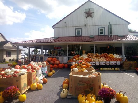 Photo for Bird-in-Hand, Lancaster County, Pennsylvania, USA  October 5, 2023:Local store in the Amish country offers a huge variety of pumpkins in early october. - Royalty Free Image