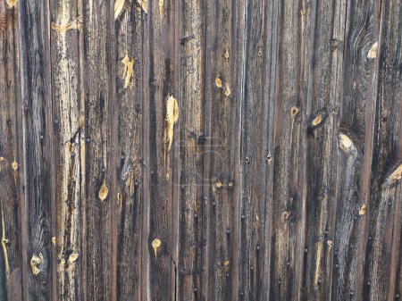 Téléchargez les photos : Macro shot de porte en bois en Basse-Autriche rurale. Fond, brun foncé, panneaux, abstrait - en image libre de droit