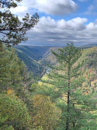 The Grand Canyon of Pennsylvania, also referred to as Pine Creek Gorge, stretches for over 45 miles with depths of nearly 1500 feet. PA Grand Canyon is part of Tioga State Forest. Natural Landmark