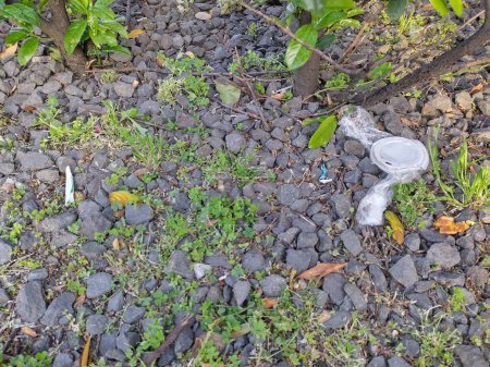Littering of lid of to go cup and plastic packaging at unsuitable location in nature. Improper disposal, incorrectly disposing. Illegally dumped garbage under green bushes. Pollution is a threat to the environment.
