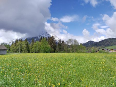 Bad Aussee, April 21, 2024: Hiking in the alps in spring time. Green meadows, snowy mountain summits.