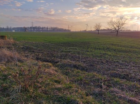 Ackerfeld mit Bodennebel in Marchfeld, Niederösterreich bei Einbruch der Dunkelheit im trockenen Winter. Schöner pastellfarbener Himmel, tief stehende Sonne. Strommasten, Windmühlen, Erdölpumpwerk im Hintergrund. 