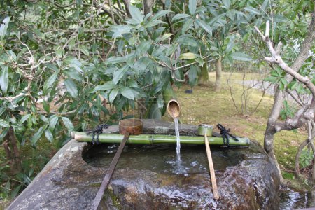 Fuente de agua japonesa clásica para lavarse las manos fuera de un templo. La fuente está hecha de bambú; el agua corre sobre una cuenca de piedra natural, cucharón se utiliza para recoger el agua. Rodeado de vegetación