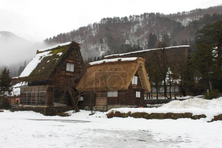 Photo for Shirakawa-go, Japan, February 14, 2016: Historic farmhouses with characteristic steeply slanting thatched roof in Shirakawa-go, Japan in wintertime with snow and fog. Traditional buildings withstand and shed the weight of heavy snowfalls. - Royalty Free Image