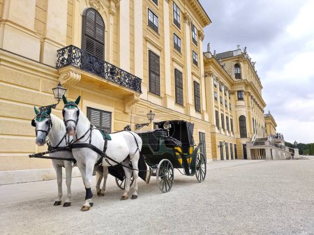 Téléchargez les photos : Vienne, Autriche, 27 juin 2024 : Chariot à cheval devant le palais Schoenbrunn.Le palais baroque de 1.441 chambres était la résidence d'été principale des dirigeants des Habsbourg. Espace de copie. - en image libre de droit
