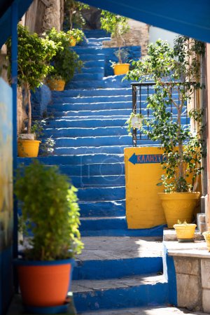 niebiesko-żółte schody z roślinami doniczkowymi