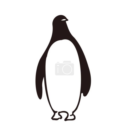 Clip art of penguin