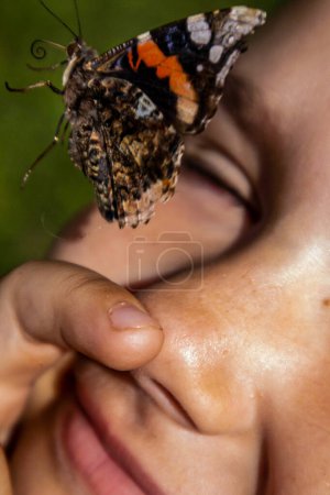 Ein bunter Schmetterling hebt von der Nasenspitze ab. Ein sonniger Sommertag, ein Schmetterling freundet sich an.