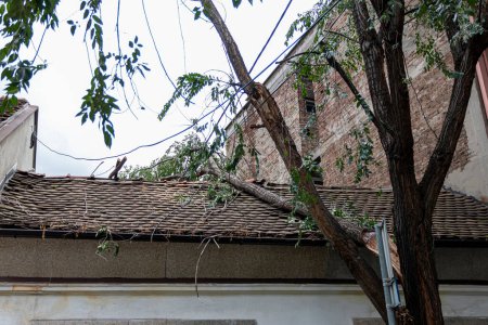 Techo de azulejo dañado por un árbol caído. Daño en el techo del árbol que cayó durante la tormenta de huracanes.