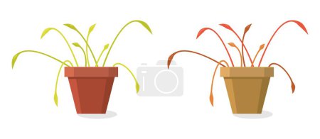 vector set of dying home plants isolated on white background. dry soil makes pot plant to wilt and become dead. symbols of dying flower
