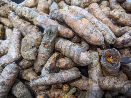Turmeric, kunyit is one of the spices from Indonesia which is used to make herbal medicines and also traditional cooking spices