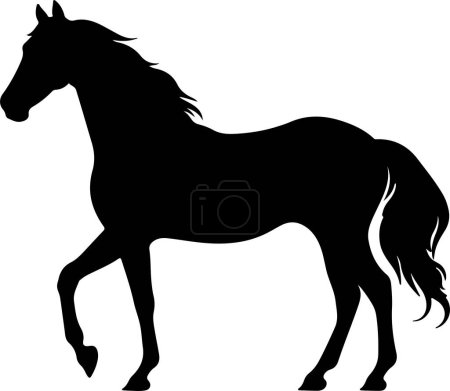 Illustration for Horse Silhouette Vector Illustration White Background - Royalty Free Image