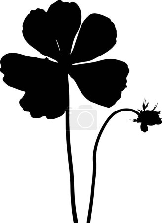 Téléchargez les illustrations : Illustration vectorielle de silhouette de fleur de géranium fond blanc - en licence libre de droit