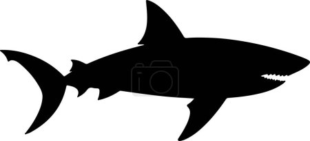 Ilustración de Silueta de tiburón Vector Ilustración Fondo blanco - Imagen libre de derechos