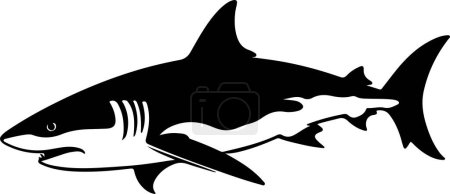 Ilustración de Silueta de tiburón Vector Ilustración Fondo blanco - Imagen libre de derechos