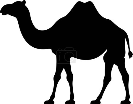 Camel Silhouette Vector Illustration White Background