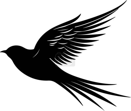 Swift Bird Silueta Vector Ilustración Fondo blanco