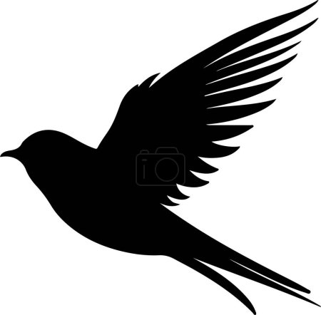Swift Bird Silhouette Vector Illustration White Background
