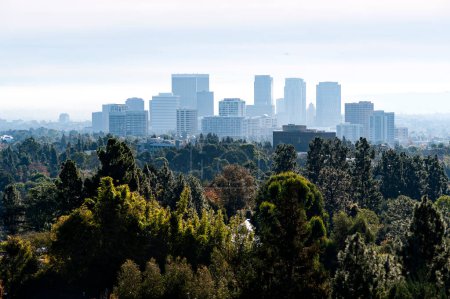 Century City skyline from the hills of Bel Air California