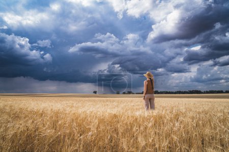 Photo for Rear view of woman looking while standing in crop against cloudy sky with storm and rain - Royalty Free Image